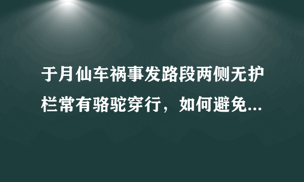 于月仙车祸事发路段两侧无护栏常有骆驼穿行，如何避免类似事故的发生？