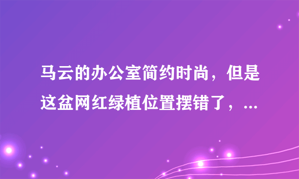 马云的办公室简约时尚，但是这盆网红绿植位置摆错了，你同意吗