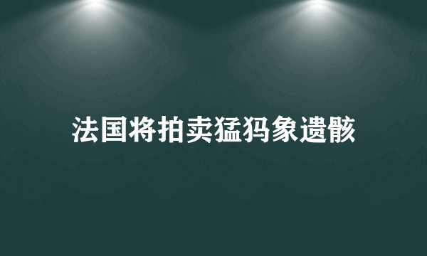 法国将拍卖猛犸象遗骸