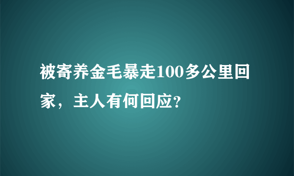 被寄养金毛暴走100多公里回家，主人有何回应？