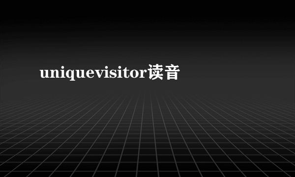 uniquevisitor读音