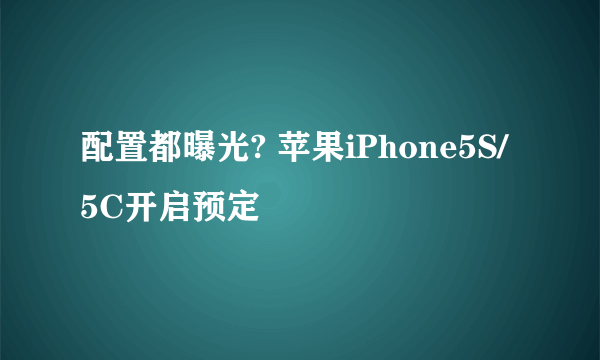 配置都曝光? 苹果iPhone5S/5C开启预定