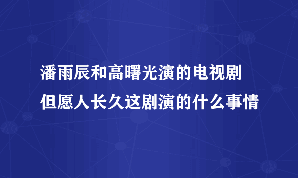 潘雨辰和高曙光演的电视剧 但愿人长久这剧演的什么事情