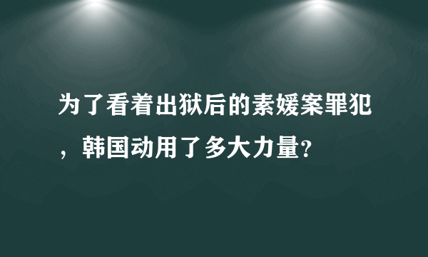 为了看着出狱后的素媛案罪犯，韩国动用了多大力量？