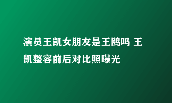 演员王凯女朋友是王鸥吗 王凯整容前后对比照曝光