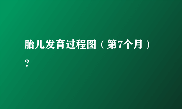 胎儿发育过程图（第7个月）？