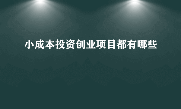 小成本投资创业项目都有哪些