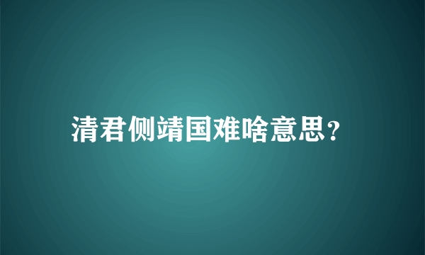 清君侧靖国难啥意思？