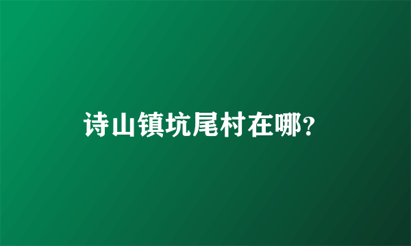 诗山镇坑尾村在哪？