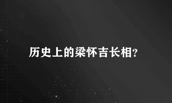 历史上的梁怀吉长相？